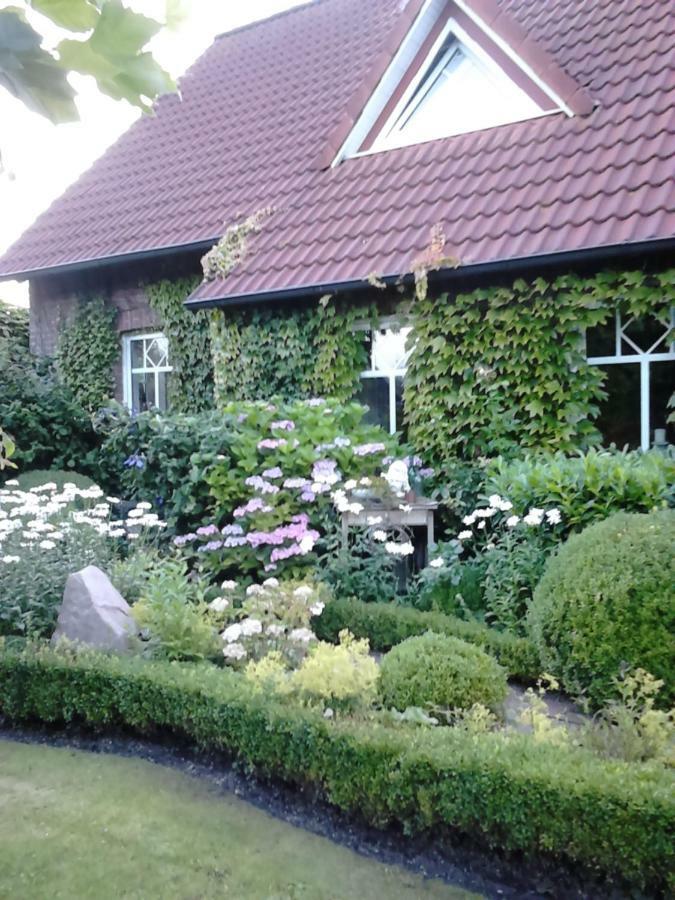 Eversmeer Ferienhaus Zaunkoenig מראה חיצוני תמונה
